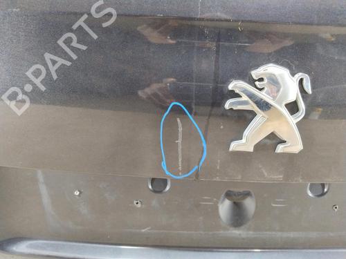 Tailgate PEUGEOT 508 SW I (8E_) 1.6 HDi | BP29739516C6 