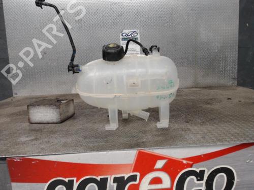 Used Expansion tank RENAULT TRAFIC III Van (FG_) 2.0 dCi 120 (FGMN) (120 hp) 24083186