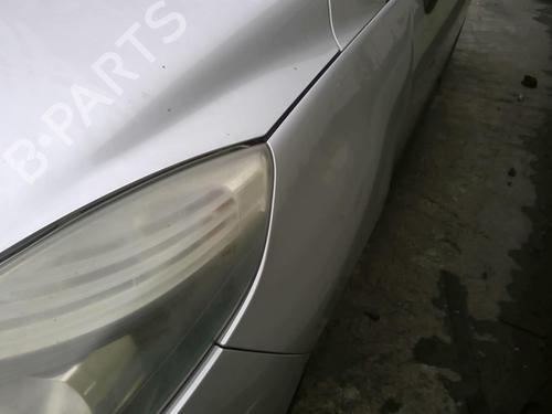 Left front fenders RENAULT SCÉNIC III (JZ0/1_) 1.5 dCi | BP24093693C41 