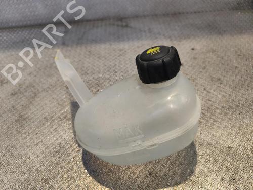Ekpansionstank RENAULT SCENIC E-TECH PHASE I EV87 | BP39231196C120 - Image 2
