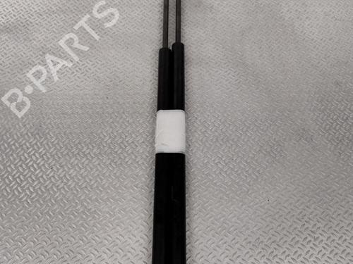 Used Tailgate lift support NISSAN JUKE (F15) 1.5 dCi (110 hp) 29344380