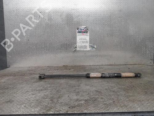 Used Tailgate lift support FIAT BRAVO II (198_) 1.9 D Multijet (198AXB1A) (120 hp) 24086851