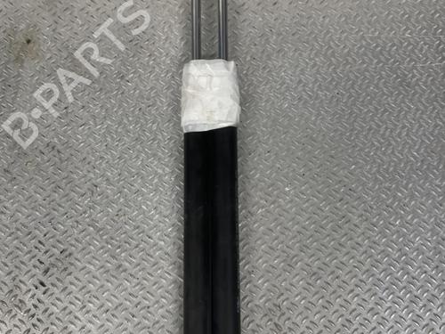 Used Tailgate lift support RENAULT CLIO III (BR0/1, CR0/1) 1.5 dCi (C/BR0G, C/BR1G) (68 hp) 24101430