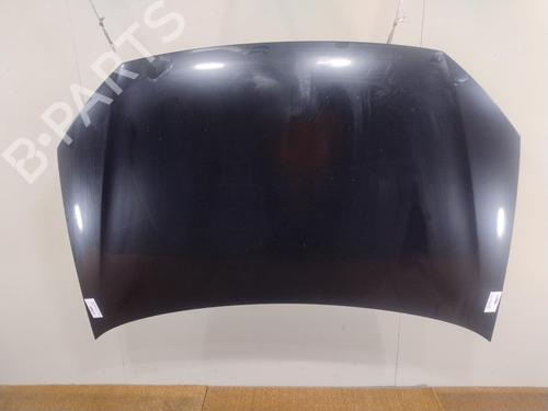 Hood VW POLO IV (9N_, 9A_) 1.4 TDI | BP29757573C1 