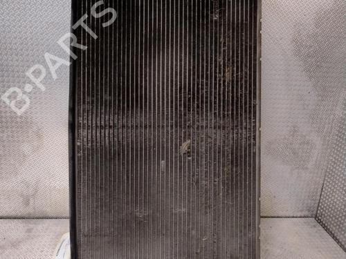 Used Water radiator FIAT GRANDE PUNTO (199_) 1.3 D Multijet (75 hp) 25703360