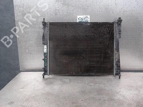 Used Water radiator RENAULT TWINGO II (CN0_) 1.2 16V (CN04, CN0B) (75 hp) 24096563