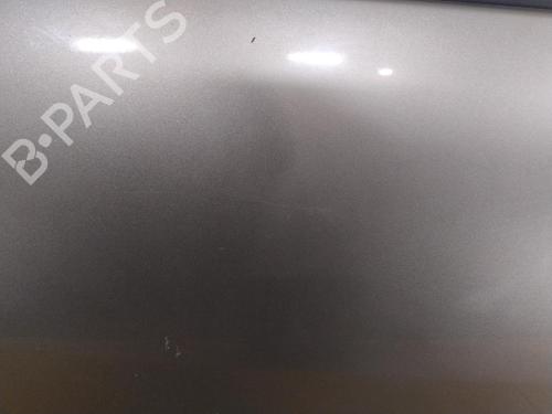 Right front door RENAULT SCÉNIC III (JZ0/1_) 1.5 dCi | BP29046853C3 