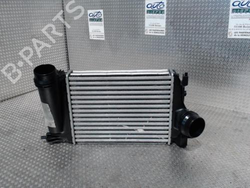 Annen RENAULT SCÉNIC IV (J9_) 1.2 TCe 130 (130 hp) 24076317