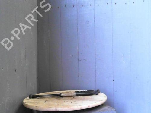 Used Hood lift support BMW 3 (E46) 320 d (129 hp) 24062851