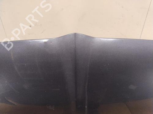 Hood MITSUBISHI GRANDIS (NA_W) 2.0 DI-D (NA8W) | BP29644406C1