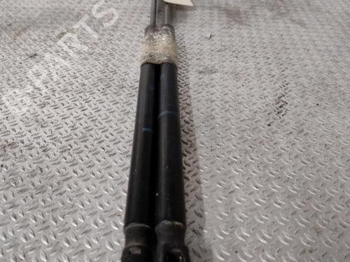 tailgate-lift-support-renault-scenic-ii-jm01_-2003-2004-2005-2006-2007-2008-2009-2010-30767262 main image