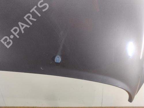 hood-peugeot-207-sw-wk_-2007-2008-2009-2010-2011-2012-2013-29379985 main image