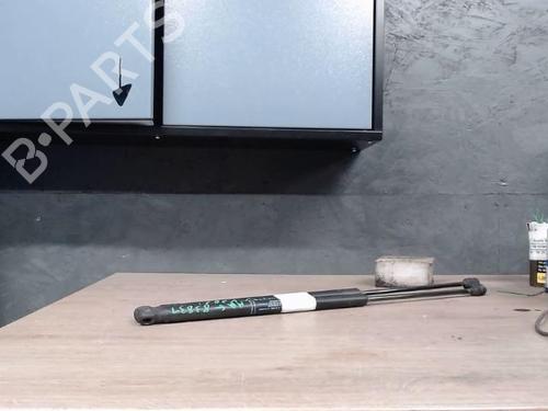 tailgate-lift-support-peugeot-1007-km_-2005-24094213 main image