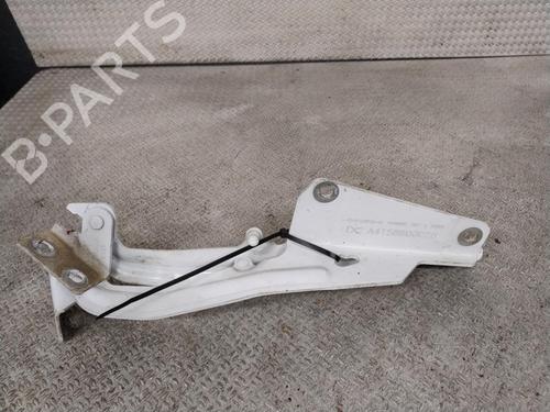 hingedoor-check-strap-renault-kangoo-express-fw01_-2008-32457160 main image