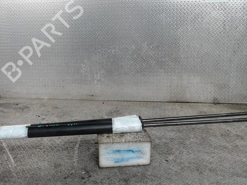 Used Tailgate lift support Tailgate lift support FORD B-MAX (JK) 1.5 TDCi (75 hp) 24078061 24078061