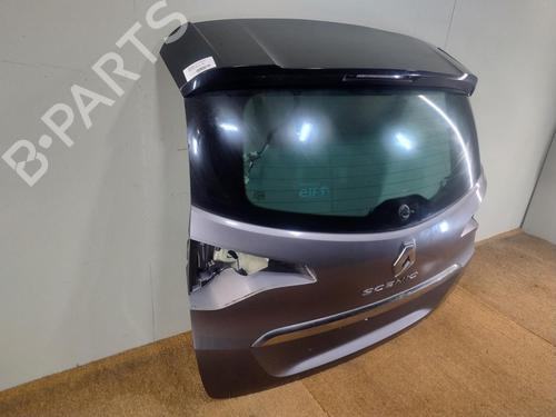 Bakluke CC/Kombi-Kupé RENAULT SCÉNIC IV (J9_) 1.7 Blue dCi 150 (J9A7, J9A8) | BP29644346C6 