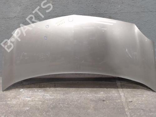 hood-renault-kangoo-express-fw01_-2008-24096234 main image