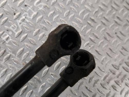 Used Tailgate lift support CITROËN C3 II (SC_) 1.6 HDi (92 hp) 24100130