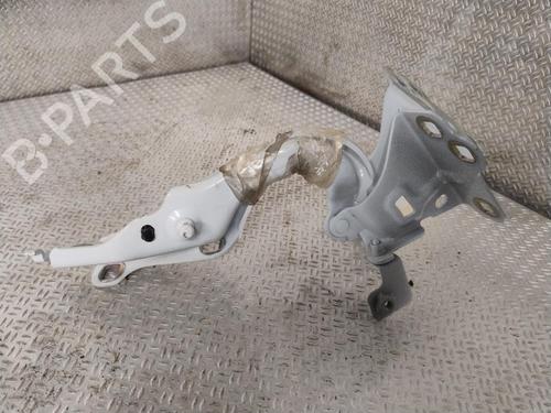 Used Hinge/Door check strap Hinge/Door check strap RENAULT CLIO II (BB_, CB_) 1.5 dCi (B/CB07) (65 hp) 36461552 36461552