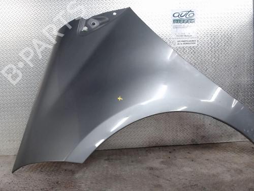 Used Left front fenders MERCEDES-BENZ A-CLASS (W169) A 200 CDI (169.008, 169.308) (140 hp) 24081261