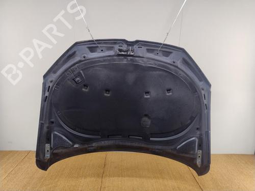 Used Hood VW PASSAT B7 (362) 1.6 TDI (105 hp) 29551292