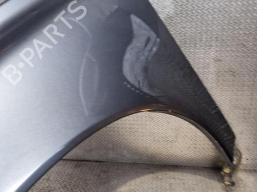 Left front fenders VOLVO S40 II (544) 2.0 D | BP24101556C41 