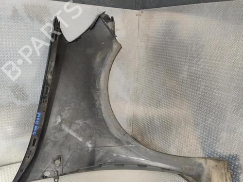 Left front fenders RENAULT CLIO III (BR0/1, CR0/1) 1.5 dCi (BR17, CR17) | BP26015375C41 