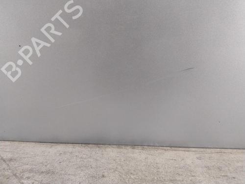Right front door RENAULT MEGANE II (BM0/1_, CM0/1_) 1.9 dCi | BP27731512C3 