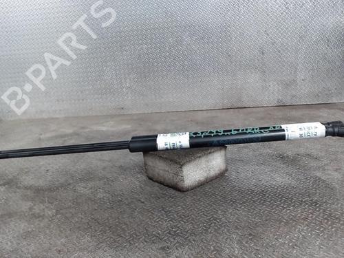 Used Tailgate lift support FORD FIESTA VII (HJ, HF) 1.0 EcoBoost (101 hp) 24083518