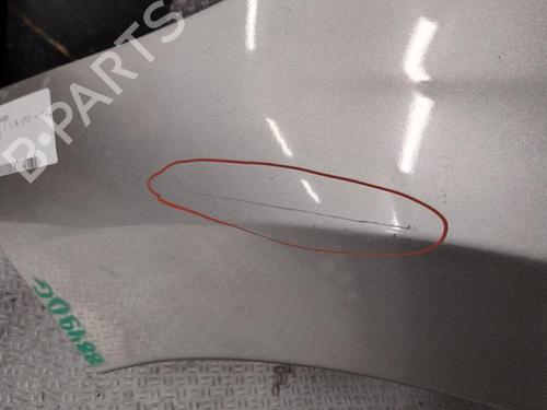 Left front fenders PEUGEOT 207 (WA_, WC_) 1.6 16V VTi | BP29577274C41 