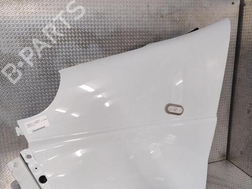 Used Left front fenders RENAULT TRAFIC II Van (FL) 2.0 dCi 90 (FL0H, FL00, FL01, FL0M, FL0P, FL0S) (90 hp) 30139337