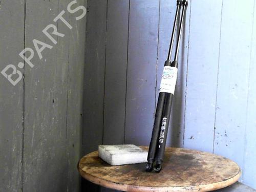 tailgate-lift-support-renault-koleos-i-hy_-2008-24063191 main image