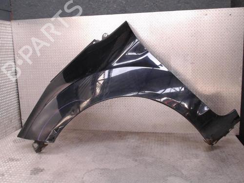 Left front fenders FORD FIESTA VI (CB1, CCN) 1.4 TDCi | BP24099106C41 
