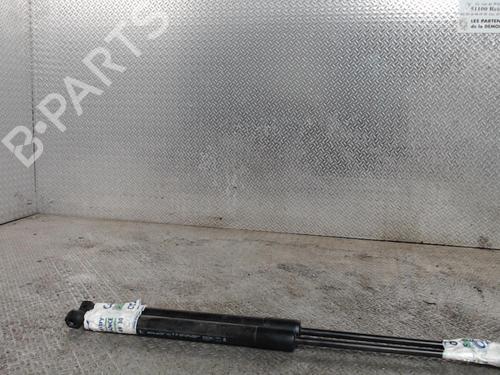 Used Hood lift support RENAULT MEGANE IV Hatchback (B9A/M/N_) 1.2 TCe 100 (B9MS) (100 hp) 24076119