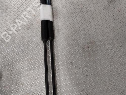 Tailgate lift support CITROËN C3 I (FC_, FN_) 1.4 i | BP30164099C138 