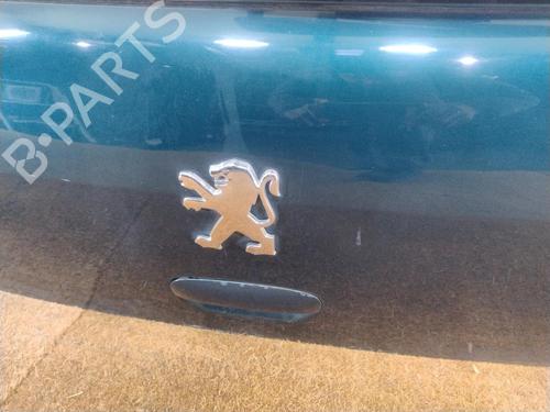Tailgate PEUGEOT 307 (3A/C) 2.0 HDi 90 | BP29739558C6