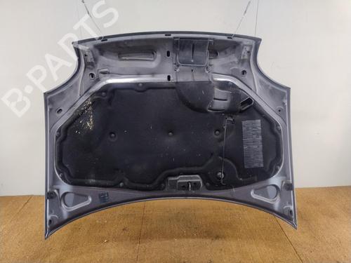 Hood RENAULT KANGOO (KC0/1_) 1.9 dTi (KC0U) | BP29197302C1 
