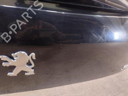 Tailgate PEUGEOT 3008 I MPV (0U_) 1.6 HDi | BP27731531C6 