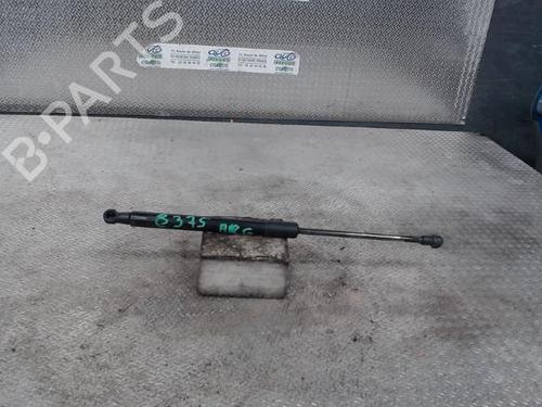 tailgate-lift-support-renault-twingo-ii-cn0_-2007-24096565 main image
