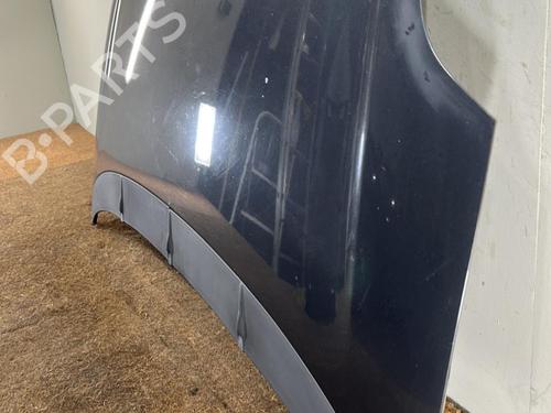 Panser FIAT PUNTO EVO (199_) 1.3 D Multijet (199AXC1A, 199BXC1A, 199AXT1A, 199BXT1A) (75 hp) 32150586