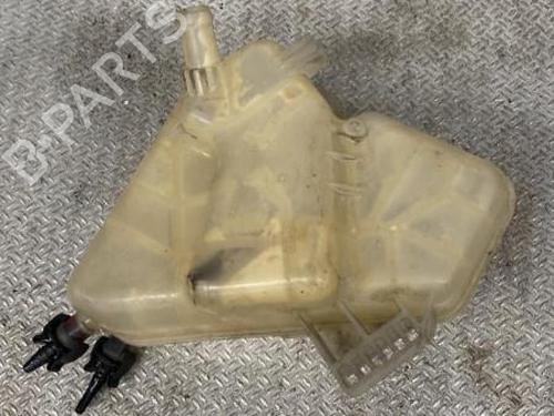 Used Expansion tank FORD FIESTA VI (CB1, CCN) 1.6 TDCi (90 hp) 24100941