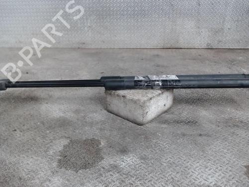 Used Tailgate lift support SEAT LEON (5F1) 1.6 TDI (105 hp) 24081560
