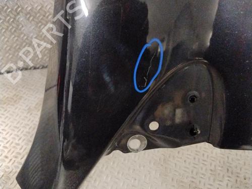 Right front fenders RENAULT MEGANE III Hatchback (BZ0/1_, B3_) 1.5 dCi (BZ0C) | BP24706519C42