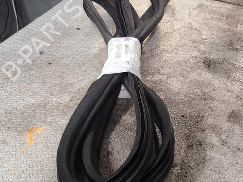 borracha-vedante-da-porta-renault-master-iii-platformchassis-ev-hv-uv-2010-36463717 main image
