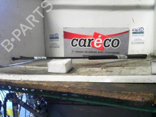 Used Tailgate lift support SEAT TOLEDO III (5P2) 1.9 TDI (105 hp) 24066558