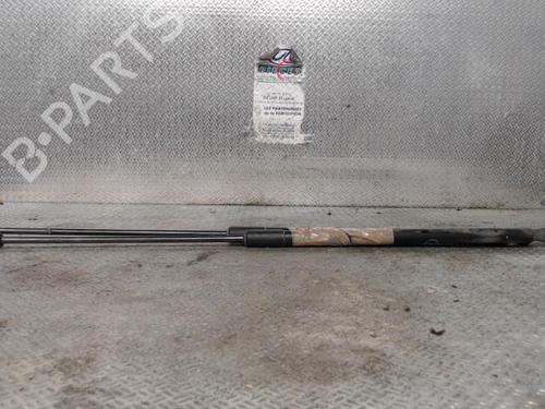 Used Tailgate lift support FORD C-MAX II (DXA/CB7, DXA/CEU) 1.6 TDCi (115 hp) 24096035