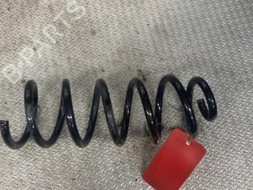 shock-absorber-spring-dacia-sandero-ii-2012-24100717 main image