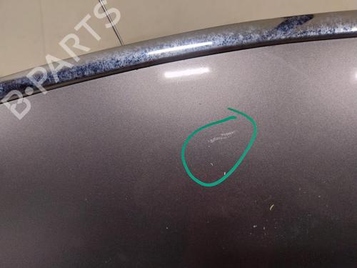 hood-citroen-c4-i-lc_-2004-2005-2006-2007-2008-2009-2010-2011-2012-2013-2014-27168864 main image