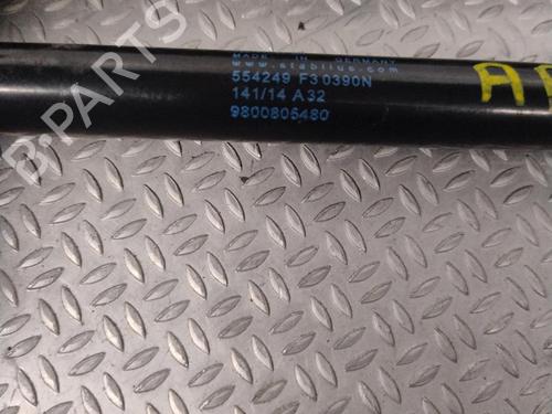 Gassdemper Bakluke CITROËN C4 CACTUS 1.2 VTi 75 / PureTech 75 | BP27332664C138 