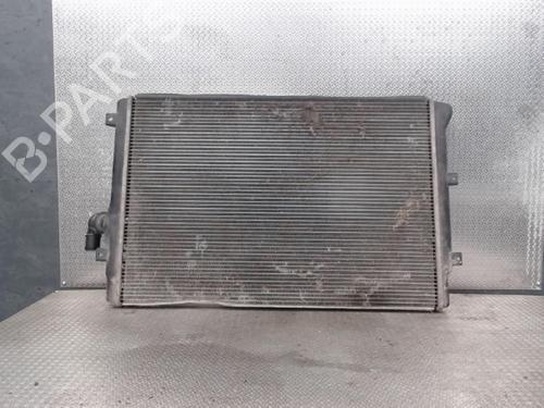 Used Water radiator VW GOLF V (1K1) [2003-2010]  24081209